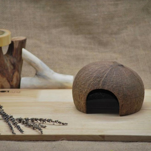 QTOYS - Coconut Play House